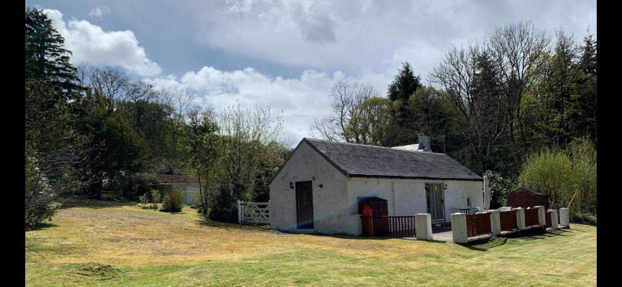 Whitestone Cottage 坦伯利 外观 照片